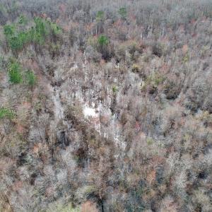Photo of UNDER CONTRACT!  121 Acres of Hunting Land For Sale in Robeson County NC!