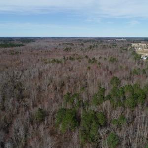 Photo of UNDER CONTRACT!  121 Acres of Hunting Land For Sale in Robeson County NC!