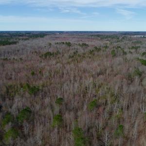 Photo of UNDER CONTRACT!  121 Acres of Hunting Land For Sale in Robeson County NC!