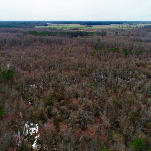 Photo of UNDER CONTRACT!  121 Acres of Hunting Land For Sale in Robeson County NC!
