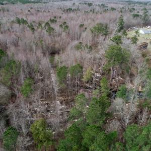 Photo of UNDER CONTRACT!  121 Acres of Hunting Land For Sale in Robeson County NC!
