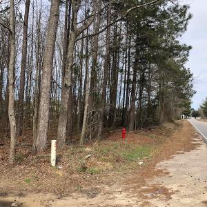Photo of UNDER CONTRACT!  121 Acres of Hunting Land For Sale in Robeson County NC!