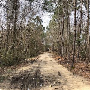 Photo of UNDER CONTRACT!  121 Acres of Hunting Land For Sale in Robeson County NC!