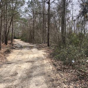 Photo of UNDER CONTRACT!  121 Acres of Hunting Land For Sale in Robeson County NC!