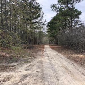 Photo of UNDER CONTRACT!  121 Acres of Hunting Land For Sale in Robeson County NC!