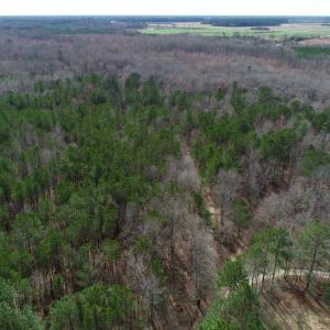 Photo of UNDER CONTRACT!  121 Acres of Hunting Land For Sale in Robeson County NC!