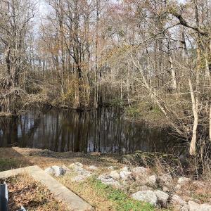 Photo of UNDER CONTRACT!  121 Acres of Hunting Land For Sale in Robeson County NC!