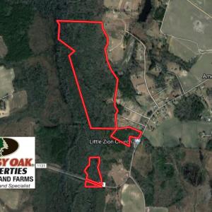 Photo of UNDER CONTRACT!  121 Acres of Hunting Land For Sale in Robeson County NC!