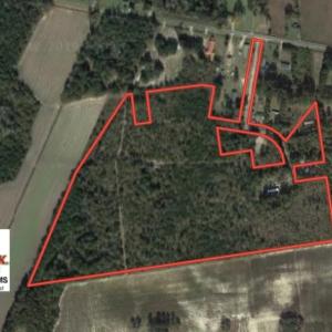 Photo of UNDER CONTRACT!  35 Acres of Hunting Land For Sale in Columbus County NC!