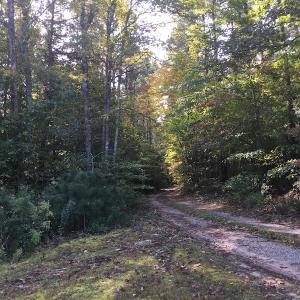 Photo of UNDER CONTRACT!  47.42 Acres of Recreational and Residential Land For sale in Charlotte County VA!