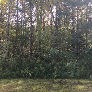 Photo of UNDER CONTRACT!  47.42 Acres of Recreational and Residential Land For sale in Charlotte County VA!
