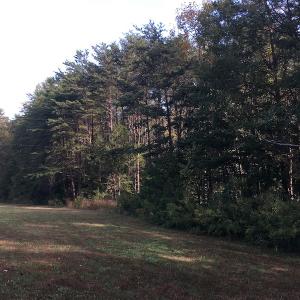 Photo of UNDER CONTRACT!  47.42 Acres of Recreational and Residential Land For sale in Charlotte County VA!