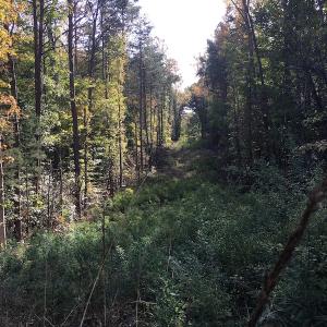 Photo of UNDER CONTRACT!  47.42 Acres of Recreational and Residential Land For sale in Charlotte County VA!