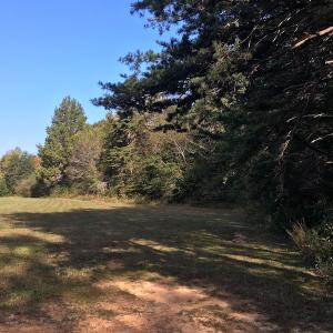 Photo of UNDER CONTRACT!  47.42 Acres of Recreational and Residential Land For sale in Charlotte County VA!