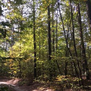 Photo of UNDER CONTRACT!  47.42 Acres of Recreational and Residential Land For sale in Charlotte County VA!