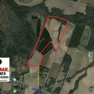 Photo of UNDER CONTRACT!  69 Acres of Residential Timber and Farm Land for Sale in Columbus County NC!