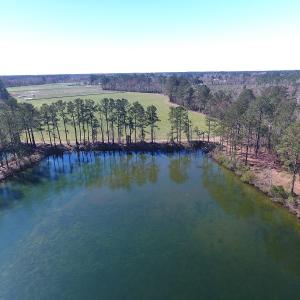 Photo of UNDER CONTRACT!  69 Acres of Residential Timber and Farm Land for Sale in Columbus County NC!