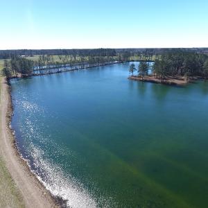 Photo of UNDER CONTRACT!  69 Acres of Residential Timber and Farm Land for Sale in Columbus County NC!