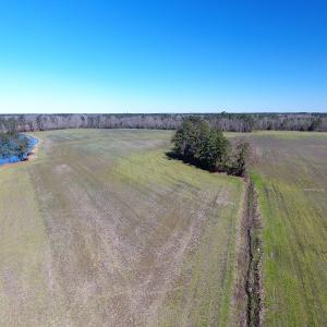 Photo of UNDER CONTRACT!  69 Acres of Residential Timber and Farm Land for Sale in Columbus County NC!