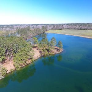 Photo of UNDER CONTRACT!  69 Acres of Residential Timber and Farm Land for Sale in Columbus County NC!