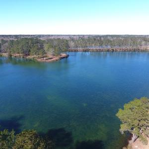 Photo of UNDER CONTRACT!  69 Acres of Residential Timber and Farm Land for Sale in Columbus County NC!