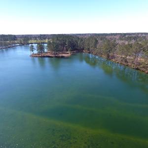 Photo of UNDER CONTRACT!  69 Acres of Residential Timber and Farm Land for Sale in Columbus County NC!
