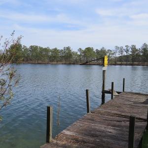 Photo of UNDER CONTRACT!  69 Acres of Residential Timber and Farm Land for Sale in Columbus County NC!