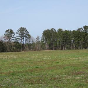 Photo of UNDER CONTRACT!  69 Acres of Residential Timber and Farm Land for Sale in Columbus County NC!