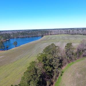 Photo of UNDER CONTRACT!  69 Acres of Residential Timber and Farm Land for Sale in Columbus County NC!