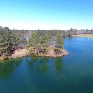 Photo of UNDER CONTRACT!  69 Acres of Residential Timber and Farm Land for Sale in Columbus County NC!