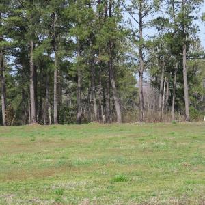 Photo of UNDER CONTRACT!  69 Acres of Residential Timber and Farm Land for Sale in Columbus County NC!