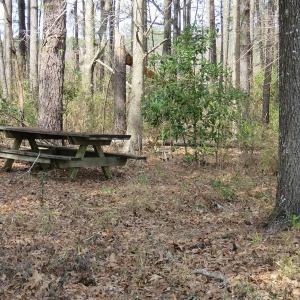 Photo of UNDER CONTRACT!  69 Acres of Residential Timber and Farm Land for Sale in Columbus County NC!