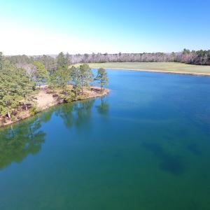 Photo of UNDER CONTRACT!  69 Acres of Residential Timber and Farm Land for Sale in Columbus County NC!