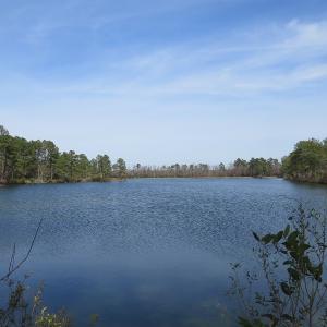 Photo of UNDER CONTRACT!  69 Acres of Residential Timber and Farm Land for Sale in Columbus County NC!