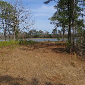 Photo of UNDER CONTRACT!  69 Acres of Residential Timber and Farm Land for Sale in Columbus County NC!