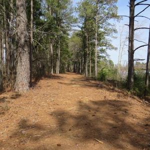 Photo of UNDER CONTRACT!  69 Acres of Residential Timber and Farm Land for Sale in Columbus County NC!
