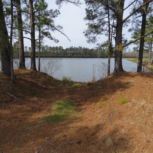 Photo of UNDER CONTRACT!  69 Acres of Residential Timber and Farm Land for Sale in Columbus County NC!