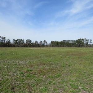Photo of UNDER CONTRACT!  69 Acres of Residential Timber and Farm Land for Sale in Columbus County NC!