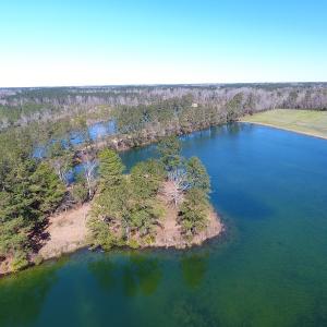 Photo of UNDER CONTRACT!  69 Acres of Residential Timber and Farm Land for Sale in Columbus County NC!