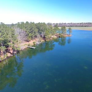 Photo of UNDER CONTRACT!  69 Acres of Residential Timber and Farm Land for Sale in Columbus County NC!