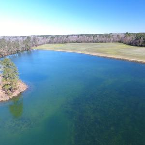 Photo of UNDER CONTRACT!  69 Acres of Residential Timber and Farm Land for Sale in Columbus County NC!