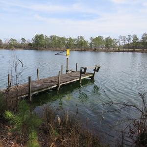 Photo of UNDER CONTRACT!  69 Acres of Residential Timber and Farm Land for Sale in Columbus County NC!