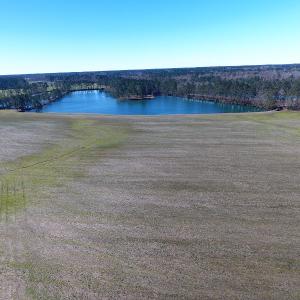 Photo of UNDER CONTRACT!  69 Acres of Residential Timber and Farm Land for Sale in Columbus County NC!