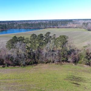 Photo of UNDER CONTRACT!  69 Acres of Residential Timber and Farm Land for Sale in Columbus County NC!