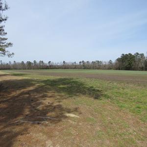 Photo of UNDER CONTRACT!  69 Acres of Residential Timber and Farm Land for Sale in Columbus County NC!