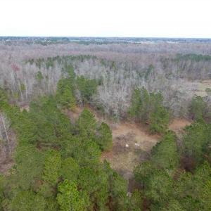 Photo of SOLD!! 12.4 Acres of Hunting and Timber Land For Sale in Robeson County NC!