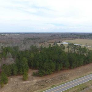 Photo of SOLD!! 12.4 Acres of Hunting and Timber Land For Sale in Robeson County NC!