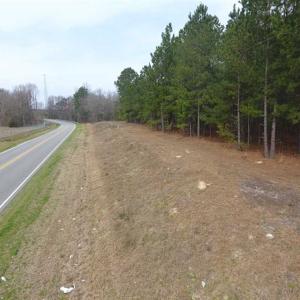 Photo of SOLD!! 12.4 Acres of Hunting and Timber Land For Sale in Robeson County NC!