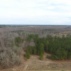 Photo of SOLD!! 12.4 Acres of Hunting and Timber Land For Sale in Robeson County NC!