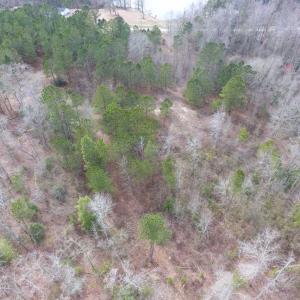 Photo of SOLD!! 12.4 Acres of Hunting and Timber Land For Sale in Robeson County NC!